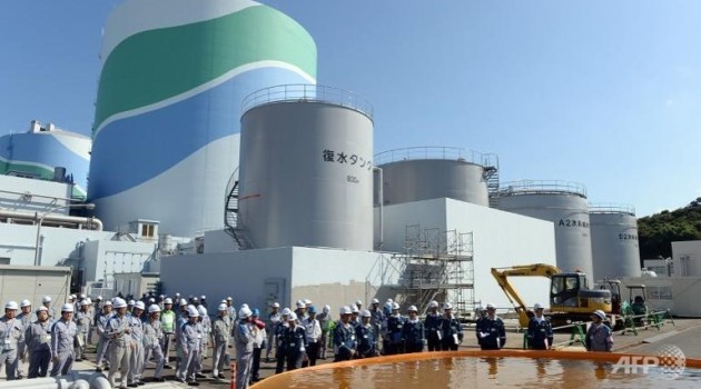 Japan nuclear watchdog backs restart of two reactors/AFP