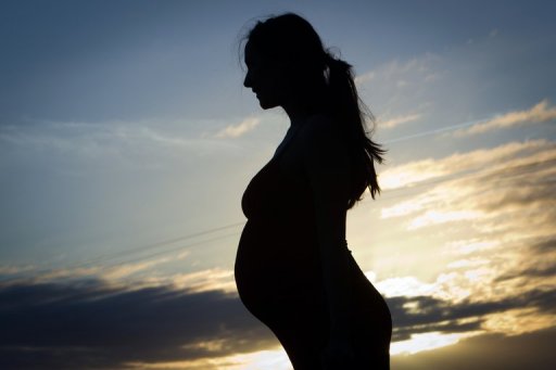 The world's first womb transplant was conducted in 2011 (AFP/File, Loic Venance) The world's first womb transplant was conducted in 2011 (AFP/File, Loic Venance)