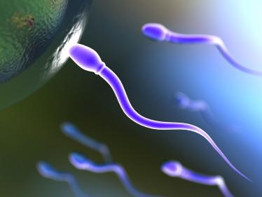 The secret of fertile sperm