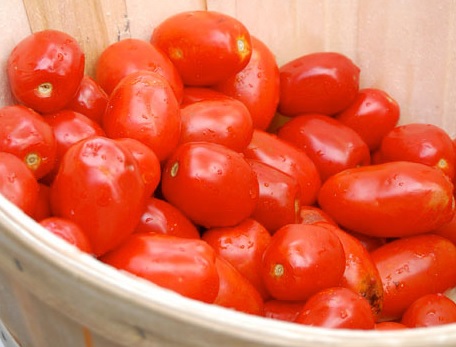 tomato botulism