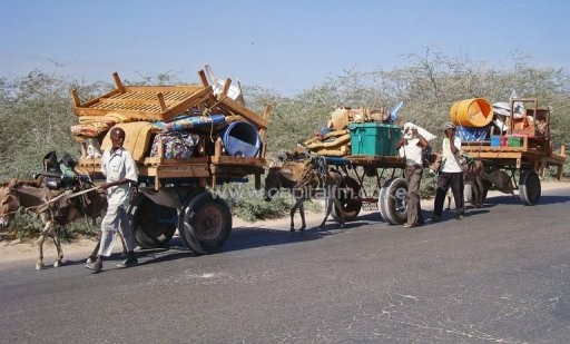 SOMALIS DISPLACED
