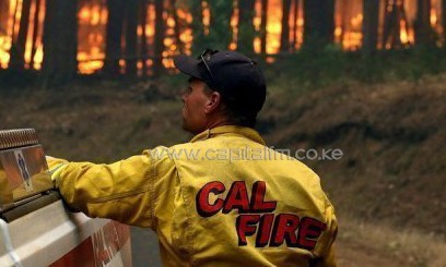 A Cal Fire firefighter looks on as the Rim Fire burns through a grove of trees on August 25, 2013 near Groveland, California/AFP