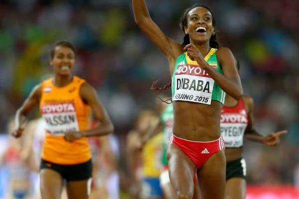 Genzebe Dibaba wins the 1500m at the IAAF World Championships, Beijing 2015. PHOTO/IAAF/Getty Images