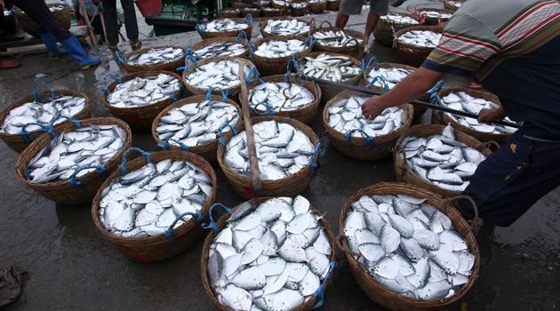 UK urges France to ‘de-escalate’ fishing row