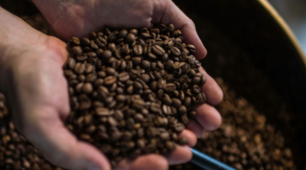 the coffee sector in its entirety has faced several problems which include decline in the amount of coffee produced/FILE