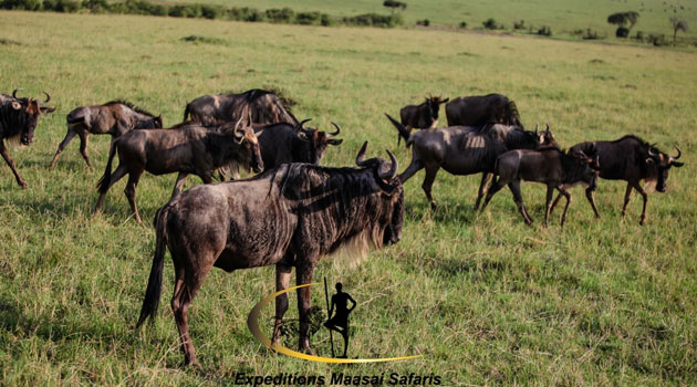 http://www.capitalfm.co.ke/