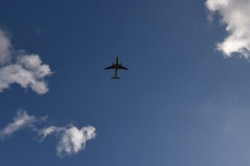 S.Africa seizes Air Tanzania plane over unpaid farm claim tz Air - S.Africa seizes Air Tanzania plane over unpaid farm claim