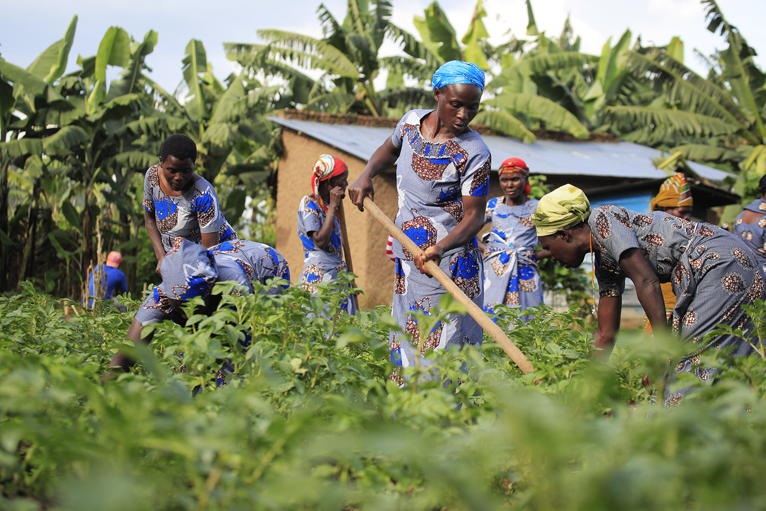 UN Member states commit to improve food systems