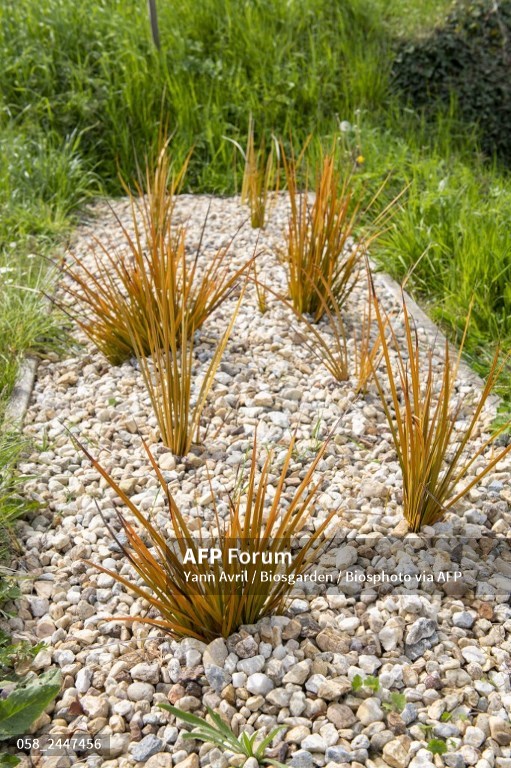 Angola’s export of ornamental stones reaches USD 23.5mn in 2021