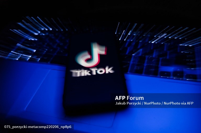 How to be a TikTok music megastar