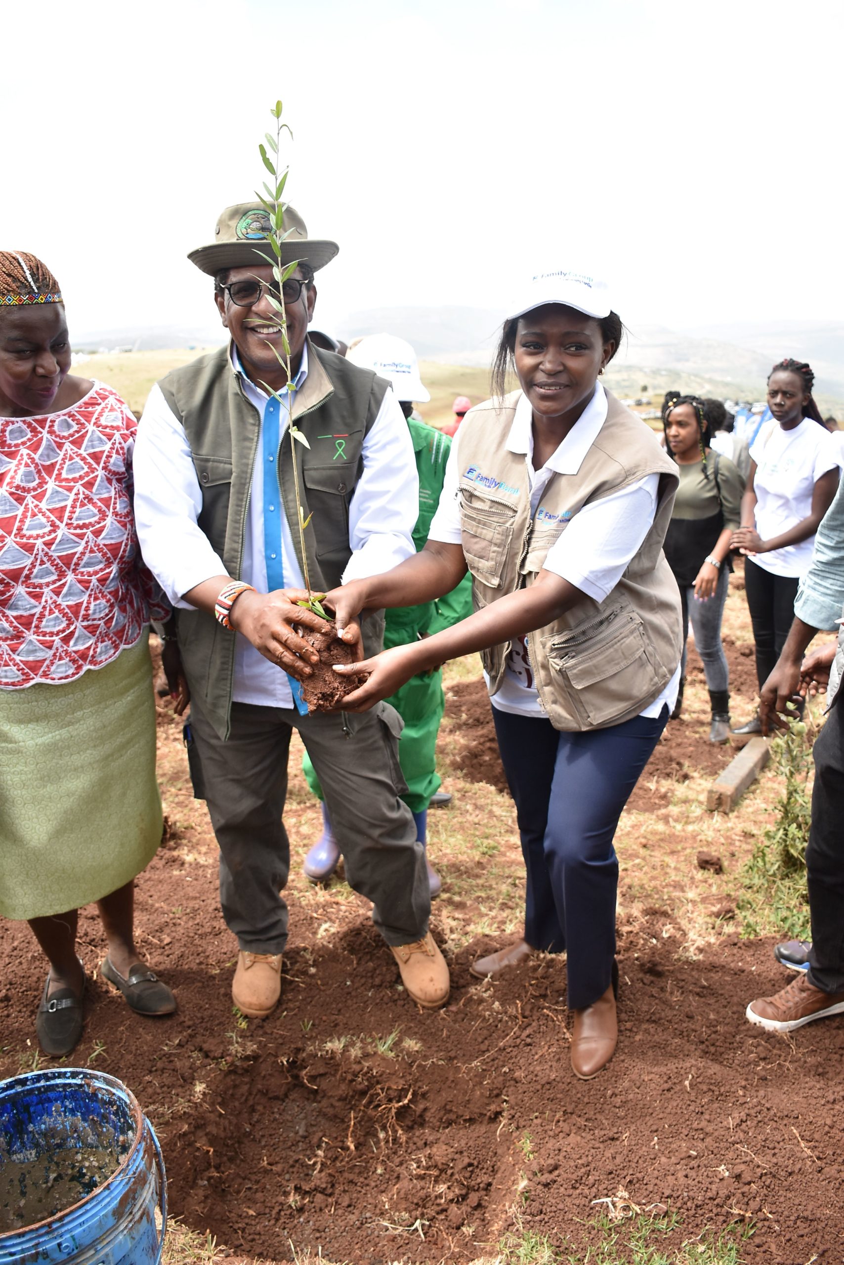 Family Bank marks International Day of Forests with launch of Ngong hills forest restoration project