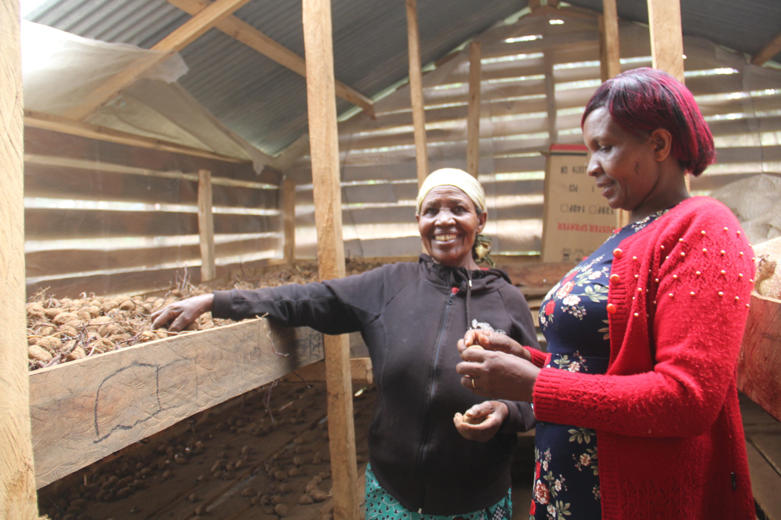 Sh30M project unveiled to help farmers grow quality potatoes