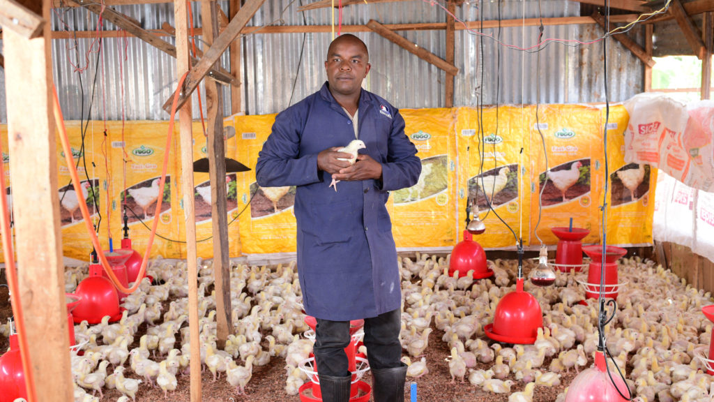 Kenyan farmers object gov’t move to allow importation of poultry