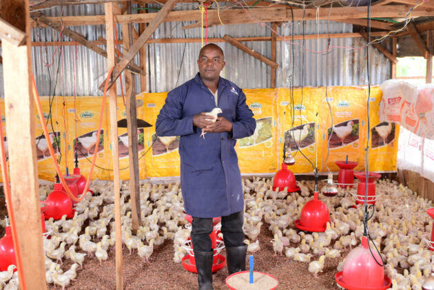 poultry farming business plan in kenya