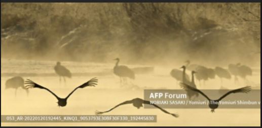 Nat-Geo kids Africa entertainment series commences production