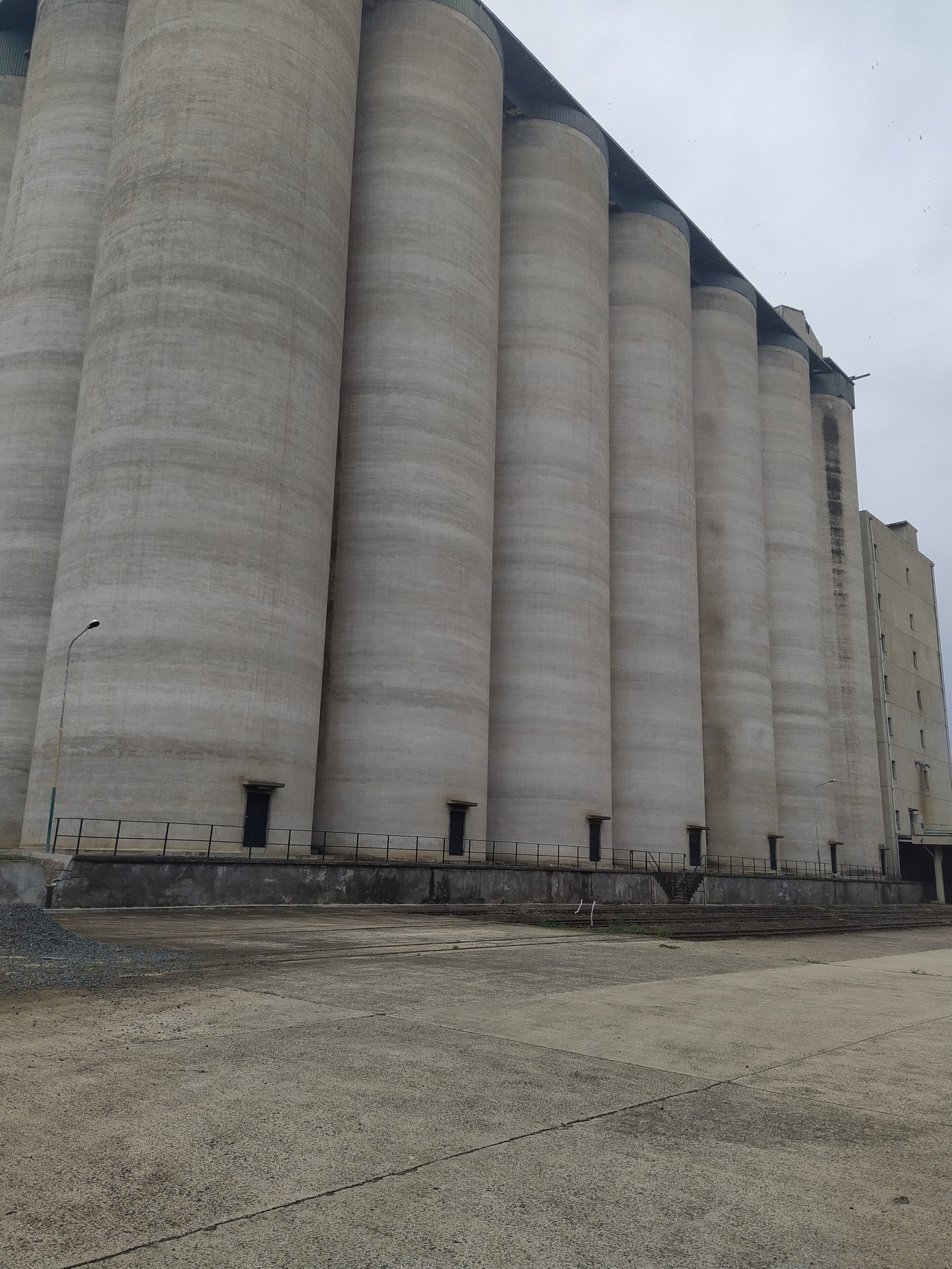 Govt installs Aflatoxin laboratory in Nakuru