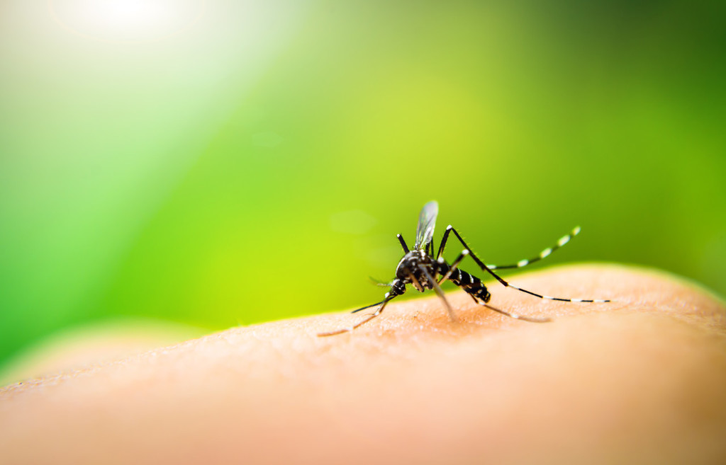 WHO gives nod to Kenyan-made malaria prevention tool