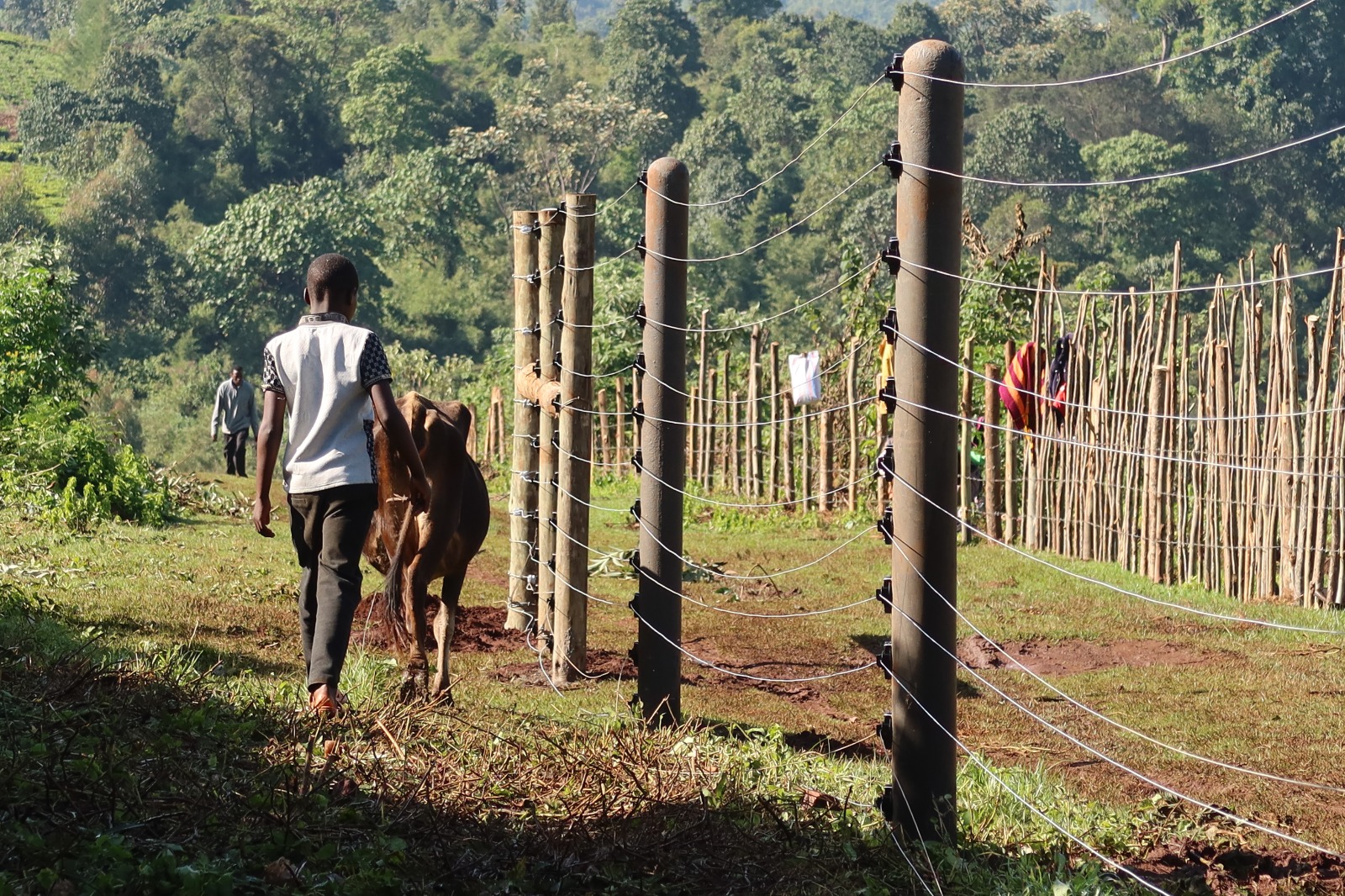 Rhino Ark completes 7.8km electric fence to protect South Western Mau Forest