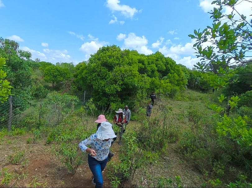 KEPSA calls for merit-based appointments to National Land Commission