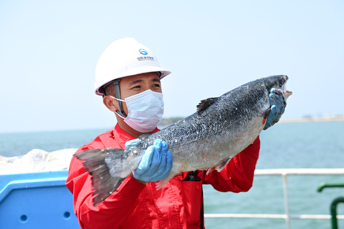 Namibia eyes salmon farming to boost high value exports