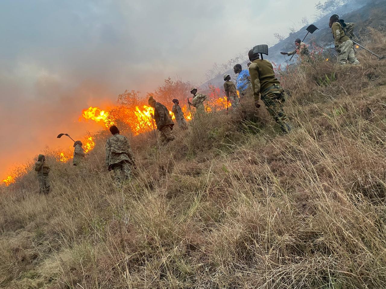 Fire at Lake Nakuru National Park contained after 6-hour operation