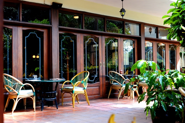 Flame Tree photographed by Susan Wong7