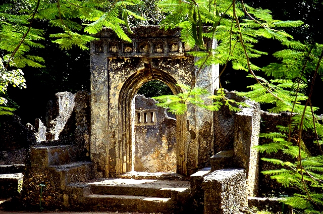 Gedi Ruins in Kenya photographed by Susan Wong 2