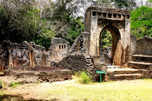 Gedi Ruins in Kenya photographed by Susan Wong 3