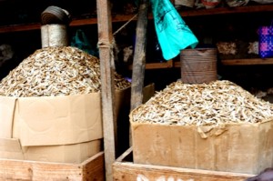 Touring in a Tuk Tuk in Malindi photographed by Susan Wong 2011 - dried fish