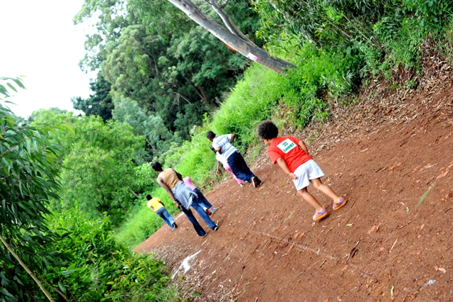 Karura Forest, Nairobi Kenya photographed by Susan Wong 2012