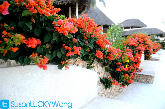 6 KOLA BEACH MAMBRUI KENYA - LOUNGE AREA 4 PHOTOGRAPHED BY SUSAN WONG AUG 2012