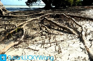 Quad Biking in Watamu Kenya photographed by Susan Wong 2012