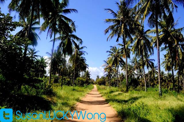 Quad Biking in Watamu Kenya photographed by Susan Wong 2012