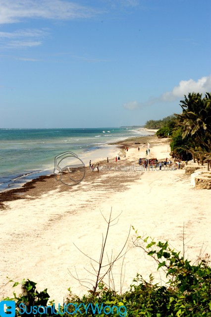 swahili beach diani kenya photographed by susan wong