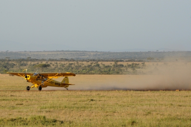 Fly 4 elephants -  Maasai Mara Kenya naboisho conservancy - photographed by Susan Wong 2013 2