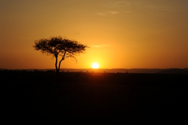 Fly 4 elephants - sunrise Maasai Mara Kenya naboisho conservancy - photographed by Susan Wong 2013