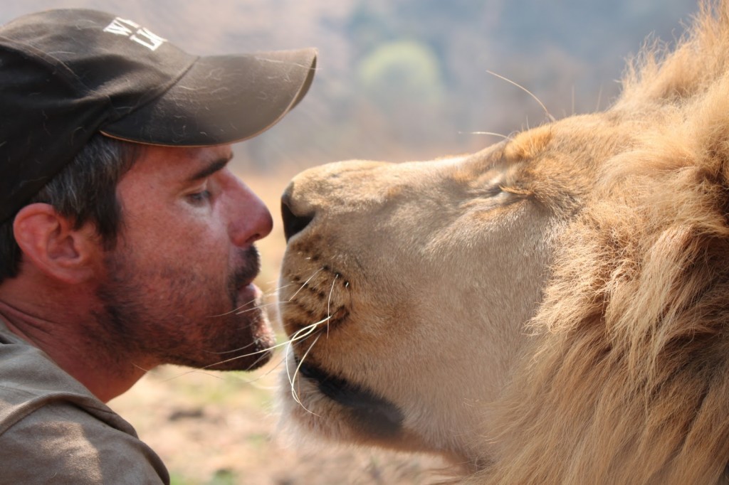 lion whisperer