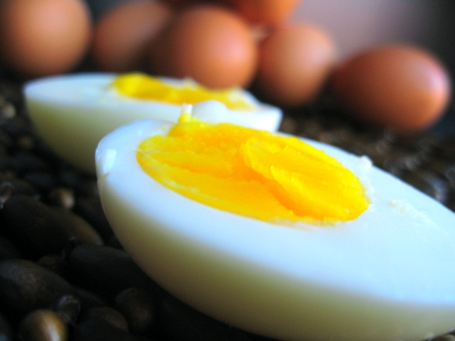 egg1
