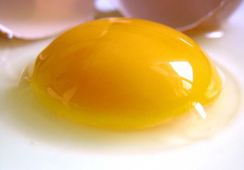 Egg