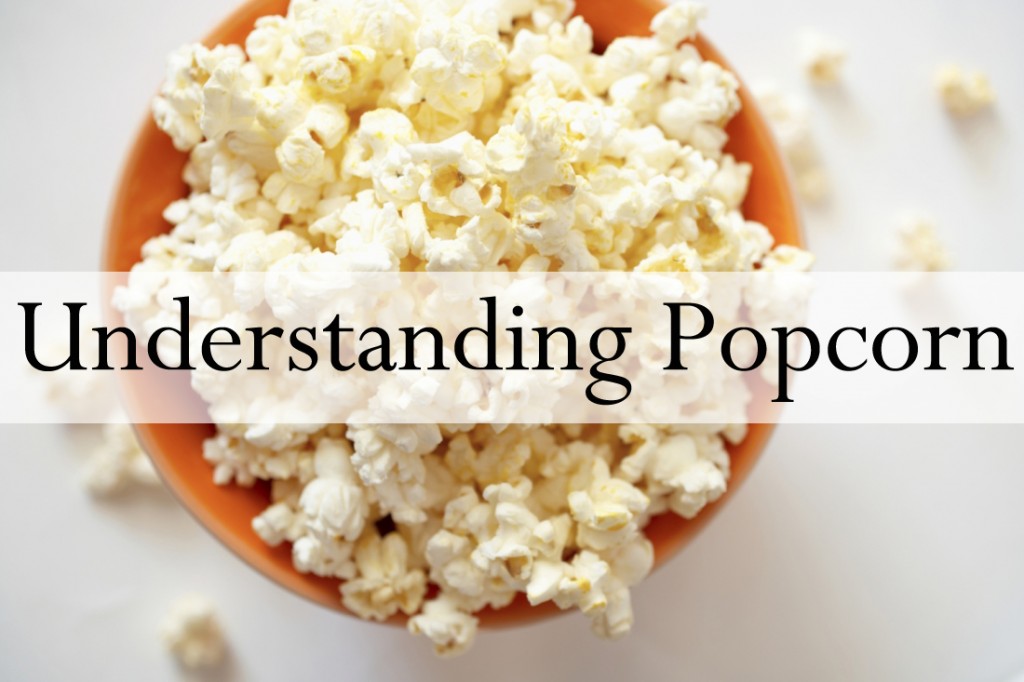 Popcorn_Bowl