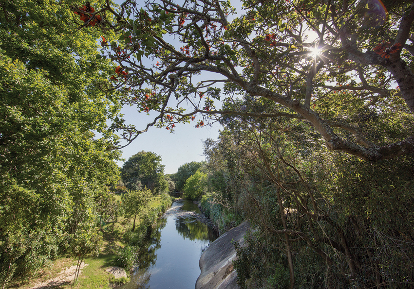 Setting---Eerste-River-landscape