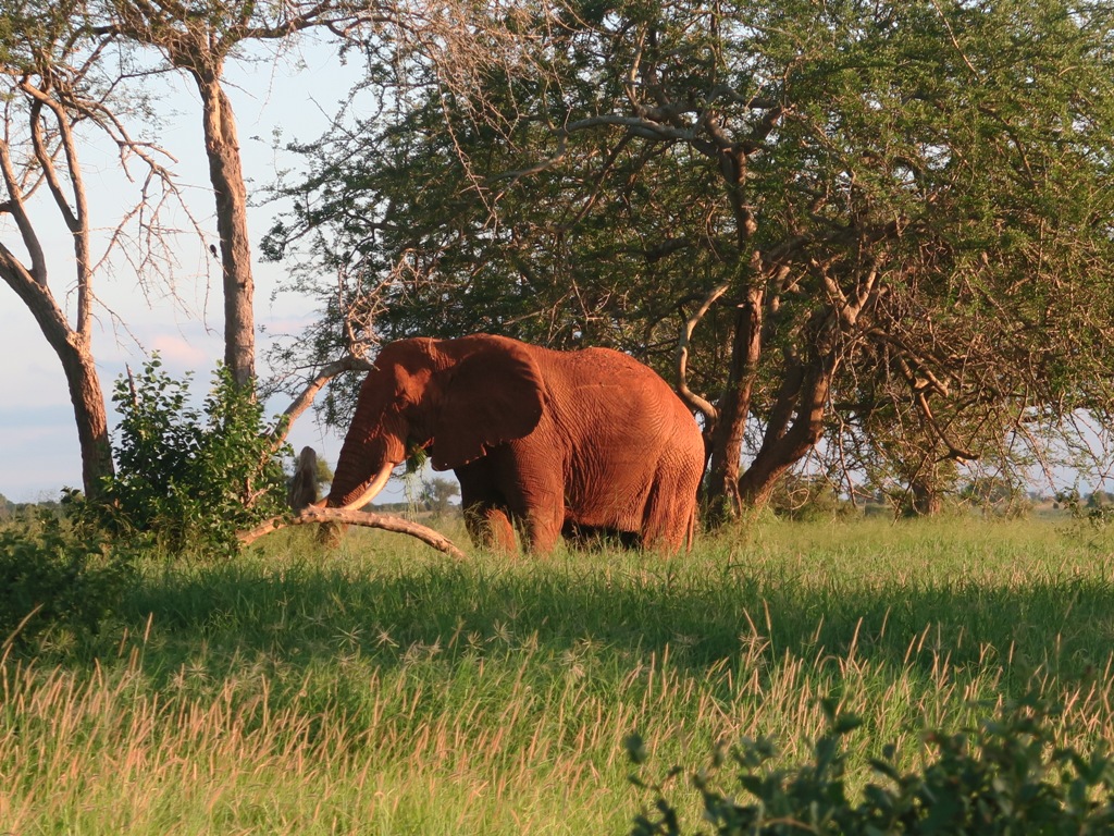 PHOTO: Taita hills sanctuary, Tsavo West National Park / Susan Wong