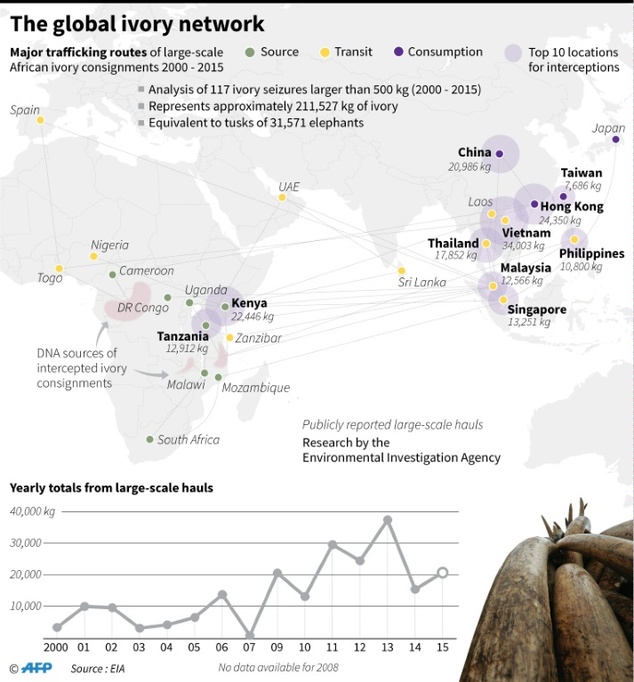 ivory-network