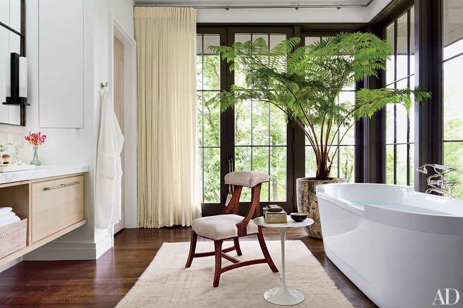 Ways To Make Statement Plants A Major Part Of Your Home