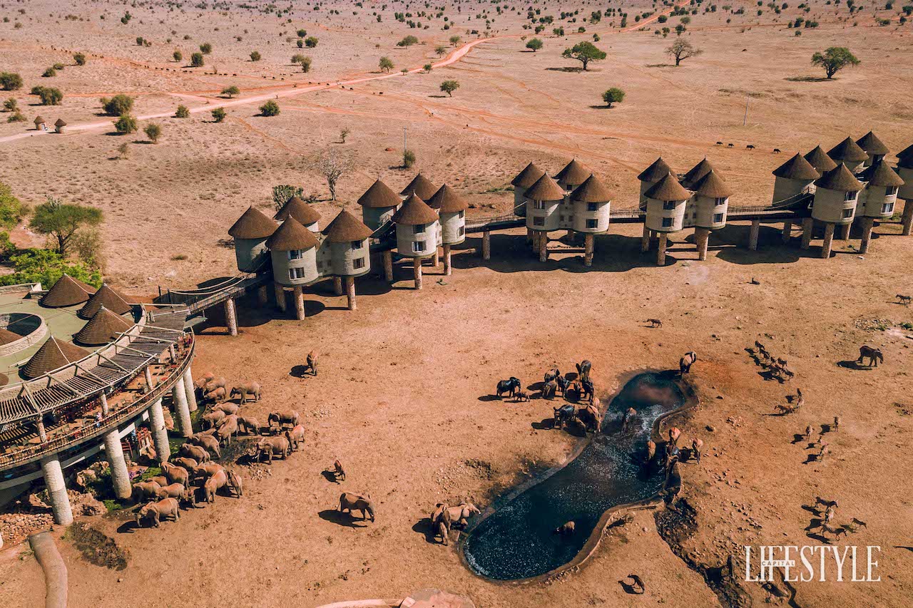 The Magical Elephant Encounters at Salt Lick Safari Lodge