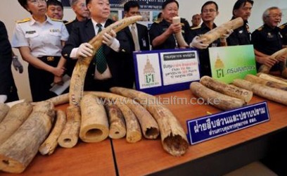 Seized ivory in Thailand/FILE