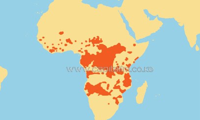 The map of Africa/AFP