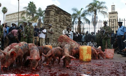 Civil society activists when they involved pigs in their protest outside Parliament. CFM.