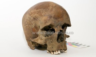 A centuries old skull found in northern New South Wales in late 2011, in Canberra/AFP