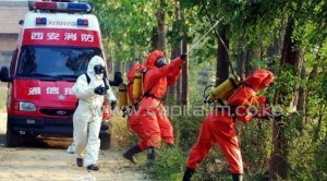 Chinese firefighters in full protective suits spray hornets' nests at a park in Xian, on October 19, 2002/AFP